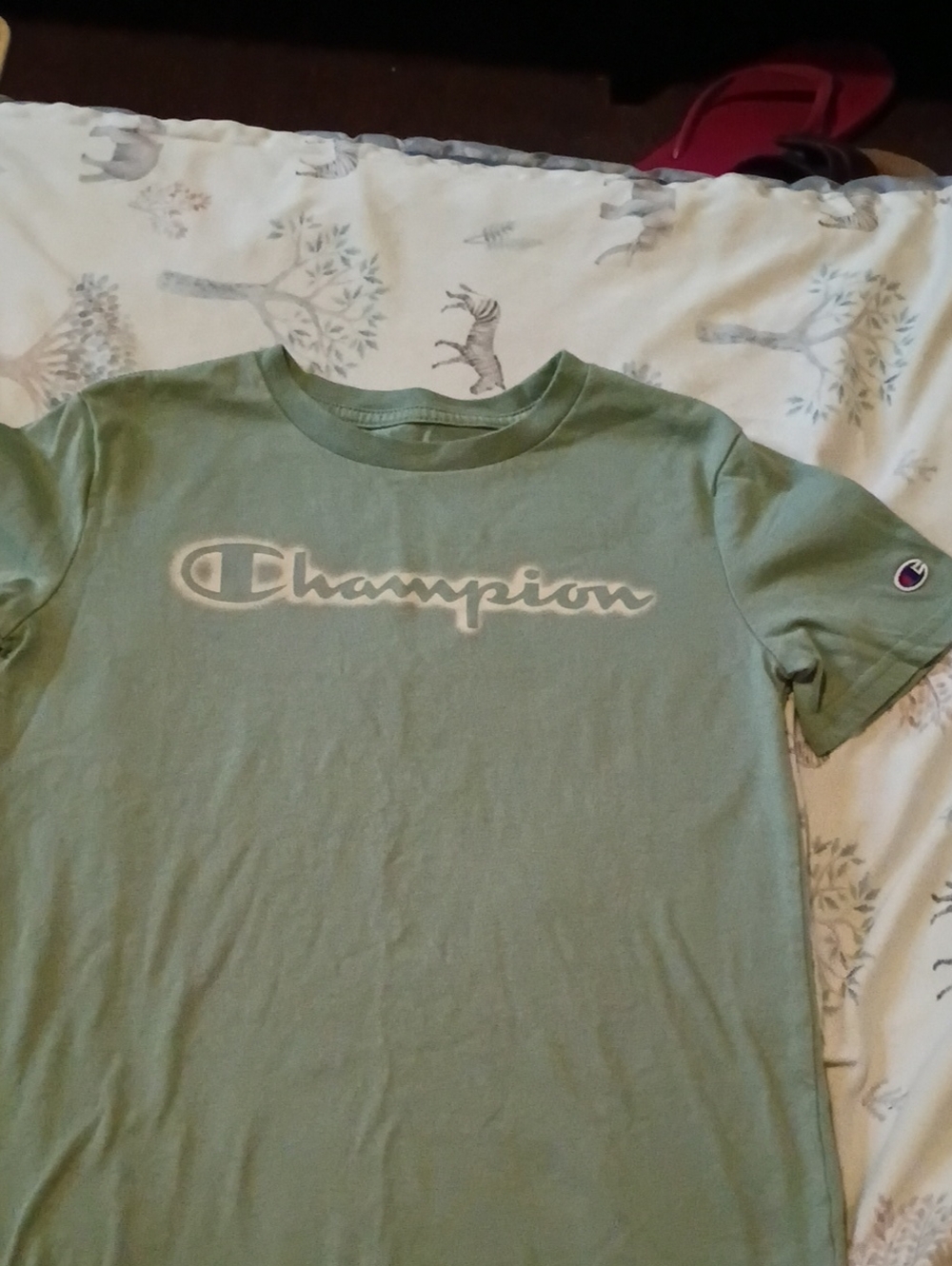 Champion Kids Sage Green Logo Tee